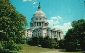 Washington DC, United States Capitol Federal Government The Hill Postcard