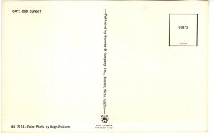 Trees at Sunset, Cape Cod  Massachusetts