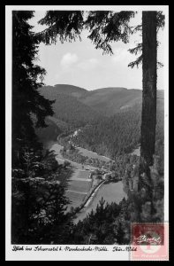 View into the Lohwarratel Manhenbacks (RPPC), Germany