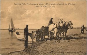 Provincetown Massachusetts MA Cape Cod Horse Drawn Fishing Boat Vintage PC