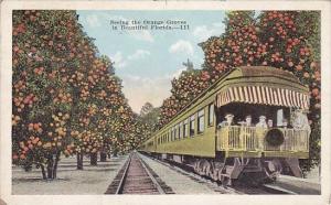 Florida Seeing The Orange Groves In Beautiful Florida 1921