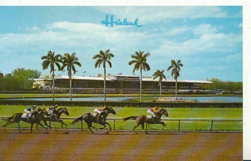 America Postcard - A Thrilling Race at Hialeah Racecourse, Miami, Florida  3430A