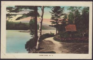Loon Lake,NY Postcard