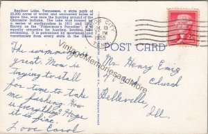 Cypress Stumps Reelfoot Lake Tennessee Postcard PC238