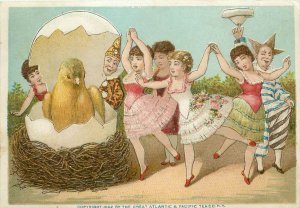 1882 Victorian Trade Card Ad Atlantic Pacific Tea, Tiny Dancers, Clowns & Chick