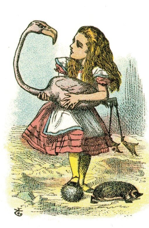 Alice In Wonderland Flamingo Bird Vintage 1907 Book Postcard