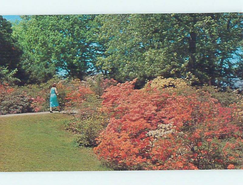 Unused Pre-1980 PARK SCENE Rochester New York NY hk5425