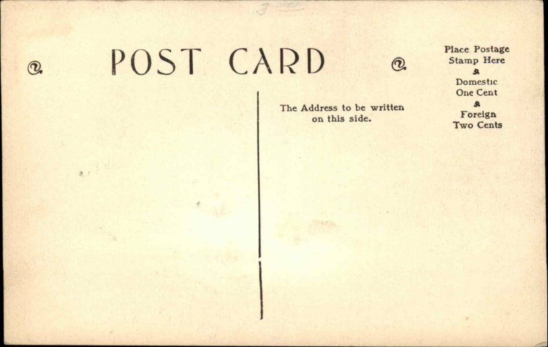 Easter Rabbits Sunbonnet Children Novelty Fur c1910 Postcard