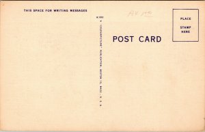 Vtg Hyacinthine Macaw New York Zoological Park New York City NY Linen Postcard