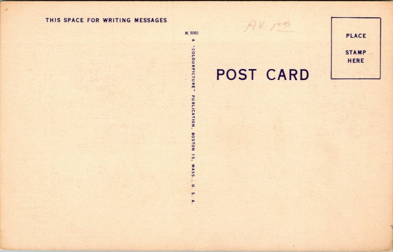 Vtg Hyacinthine Macaw New York Zoological Park New York City NY Linen Postcard