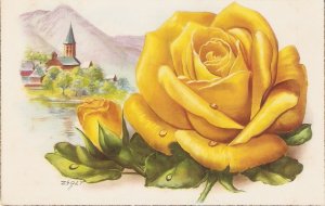 Zsolt. Beautiful  yellow rose Vintage Spanish, artist signed, postcard 1960s