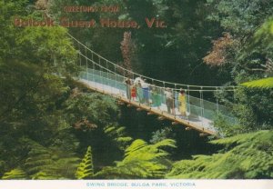 Swing Bridge Bulga Park Victoria Bolook Guest House Postcard