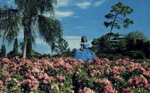 Flowers - Cypress Gardens, Florida FL  