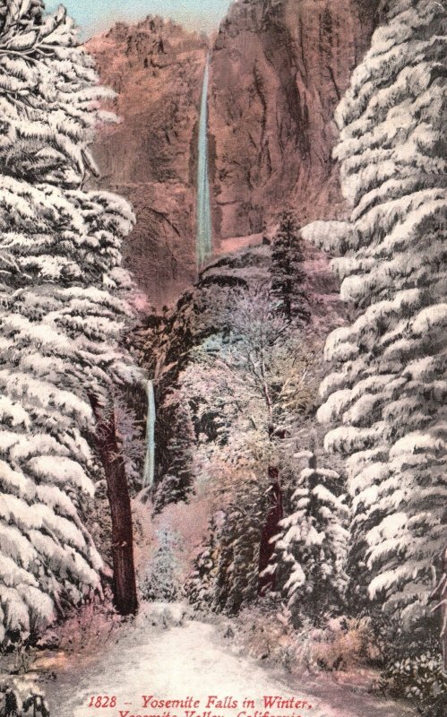 Vintage Postcard Yosemite Falls Winter Yosemite Valley California Edw. Mitchell 