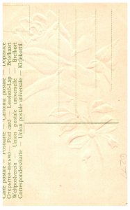 Rhode Island Providence , Flowers