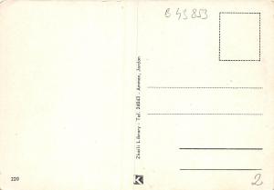 B43853 animals animaux camel chameau Jordan