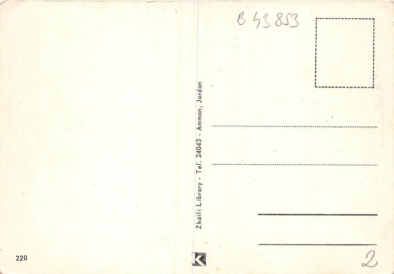 B43853 animals animaux camel chameau Jordan