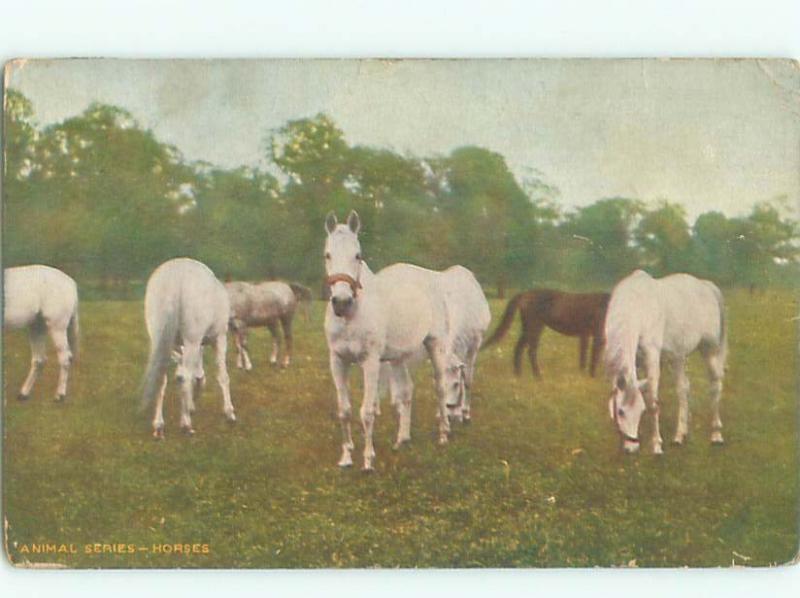 Divided-Back HORSE SCENE Great Postcard AA9421