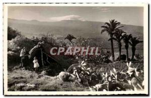 Old Postcard Tenerife Paisaje