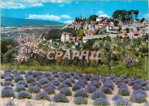 Postcard Modern Provence Old Village and Lavender Field