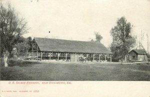 Undivided Back Postcard; US Salmon Hatchery near Sacramento CA