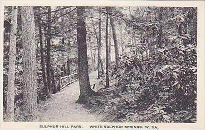 West Virginia White Sulphur Springs Silphur Hill Park Albertype