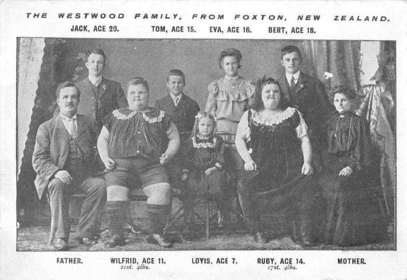 Foxton New Zealand Westwood Family Fat Children Vintage Postcard JF685146