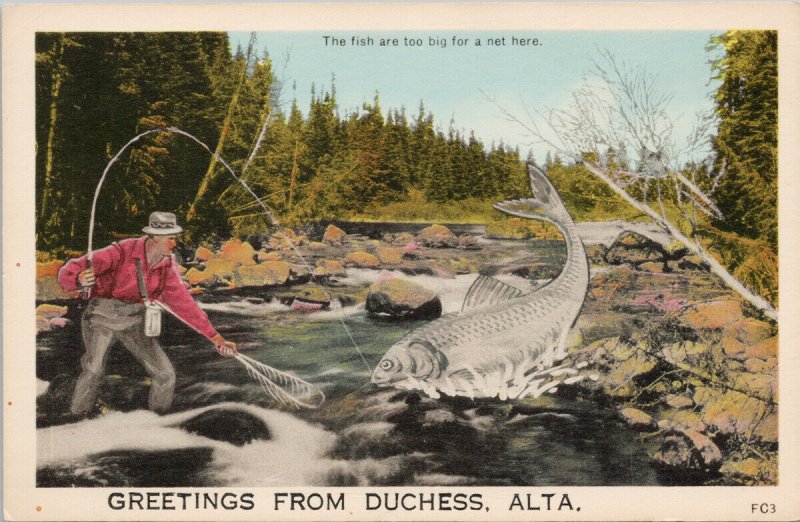 Greetings from Duchess Alberta Fisherman Exaggeration Unused PECO Postcard G49