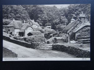 Devon BUCKLAND IN THE MOOR Village View - Old Postcard