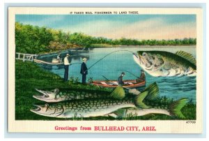It Takes Real Fisherman to Land These, Greetings from BULLHEAD, AZ Postcard 