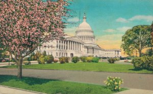 USA The US Capitol Washington DC Linen Vintage Postcard 07.90