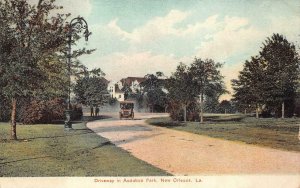 DRIVEWAY IN AUDUBON PARK NEW ORLEANS LOUISIANA POSTCARD (c. 1910)