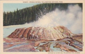 Sponge Geyser Yellowstone National Park Curteich