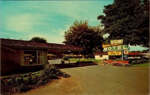 Chico, CA California  ELM MOTEL  Butte County  ROADSIDE ca1960's Chrome Postcard