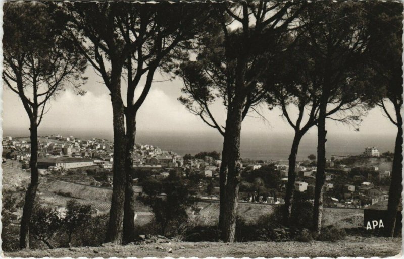 CPA BANYULS-sur-MER Vue généalre (144385)