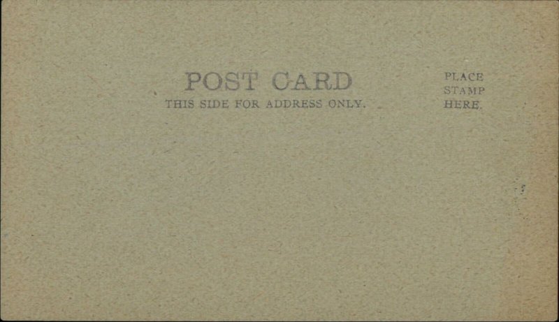 Unusual Imps Fantasy Handmade??? c1905 Postcard