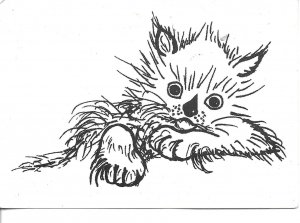 Cat. Micicek Modern Czech artist drawn postcard