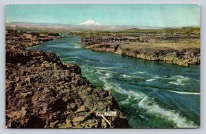 Columbia River Between Oregon & Washington Vintage Postcard 0698