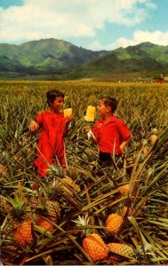 Hawaii Del Monte Field Ripe Pineapples 1970