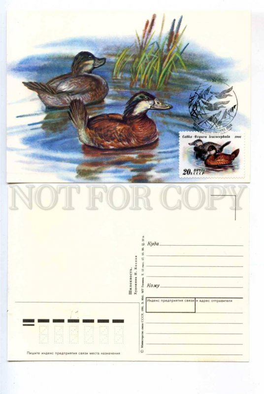 414551 USSR 1991 year set of FDC postcards maximum cards Kozlov duck hunting