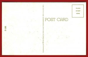 Been Following The Horses For Years - [MX-1063]