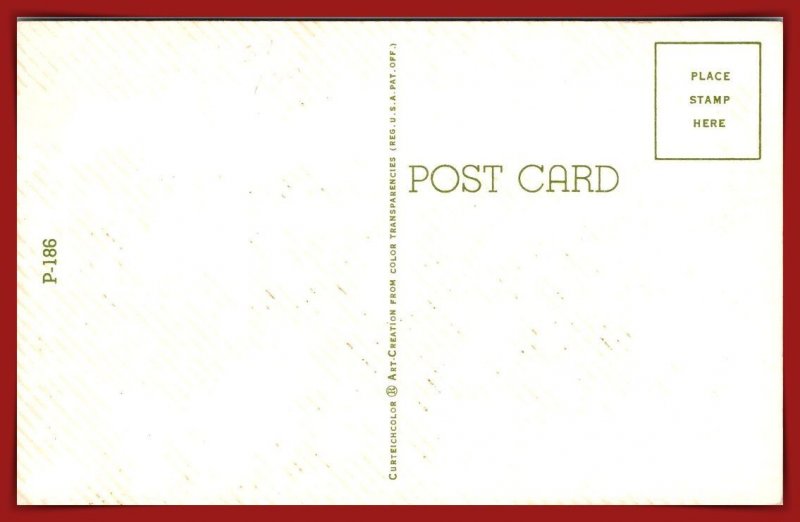 Been Following The Horses For Years - [MX-1063]