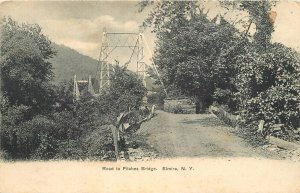 Postcard New York Elmira Road Fitches Bridge Buffalo News 23-9066