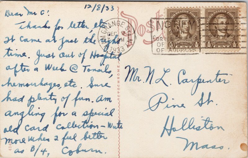 Minnehana Native American Woman Indigenous c1933 Postcard G84