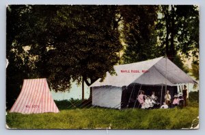 J94/ Maple Ridge Michigan Postcard c1910 Tent Camping People  103