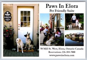 Paws In Elora, Pet Friendly Suite, Ontario, Chrome Advertising Postcard, Unused