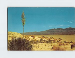 Postcard Salt Flats On U. S. Highway 180, Salt Flat, Texas