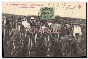 Old Postcard Folklore Harvest Vine Champagne grape picking TOP