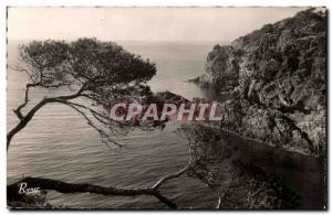 Porquerolles Island Postcard Modern Rock South Coast