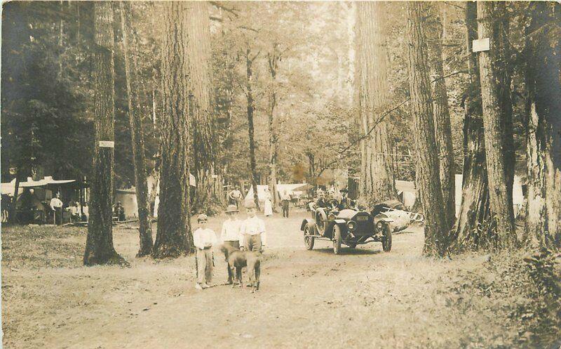 1912 Cascadia Linn Oregon Camping Auto License plate #3906 RPPC Photo Postcard